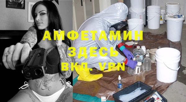 PSILOCYBIN Балахна