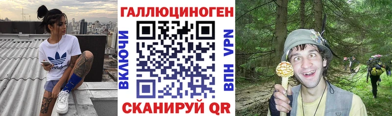 Псилоцибиновые грибы ЛСД Новосокольники