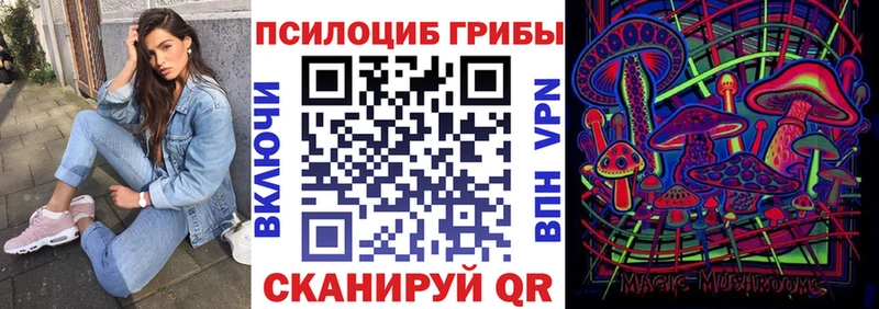ссылка на мегу сайт  продажа наркотиков  Новосокольники  Псилоцибиновые грибы мухоморы 